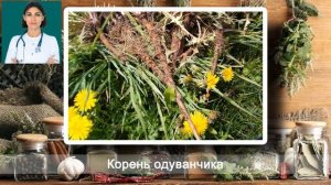 ДИАБЕТ-ЛЕЧЕНИЕ САХАРНОГО ДИАБЕТА НАРОДНЫМИ СРЕДСТВАМИ