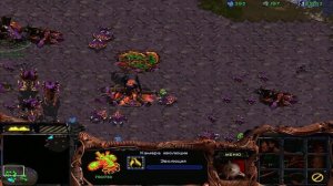 StarCraft компания Зергов с Sаныч'ем #1