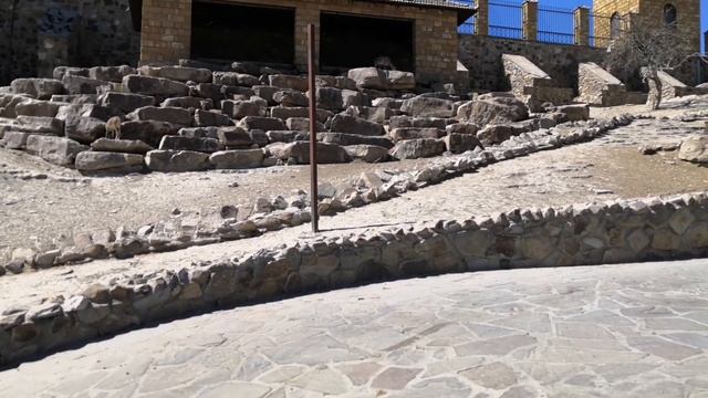 Парк "Лога" и база отдыха "Эльдорадо" смотреть онлайн