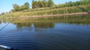 Ловля Щуки и Окуня осенью с лодки.Рыбалка на спиннинг с лодки