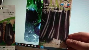 Баклажаны Черный красавец, Алмаз и Длинный фиолетовый.