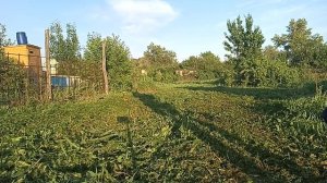 stihl fs 450 ,купил катушку дурокут ,тестим ))).