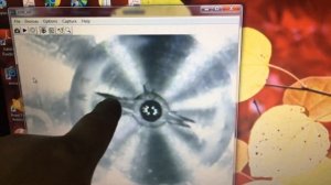 Ремонт форсунок Маз-Рено 0445120325