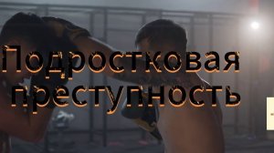 066  подростковая преступность