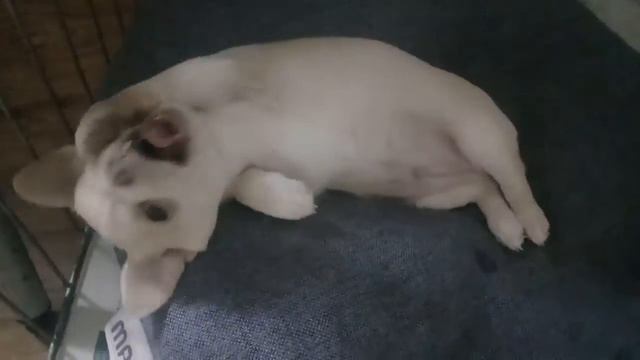 Строит глазки смотреть онлайн