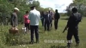 Запрещённые грибы ???  Продолжение в следующем видео ☝?