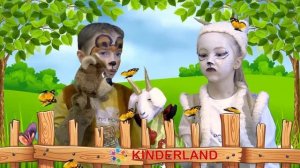 Тень тень потетень.  Детская студия KINDERLEND