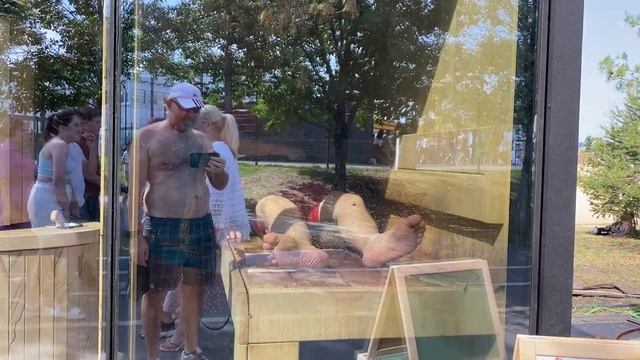 30 июля 2023 г. смотреть онлайн