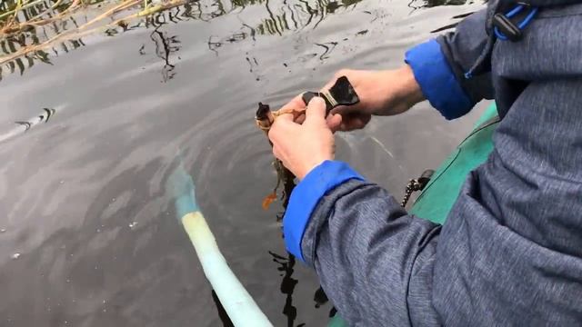 Рыбалка.Карелия Сентябрь 2017. Закрытие сезона смотреть онлайн