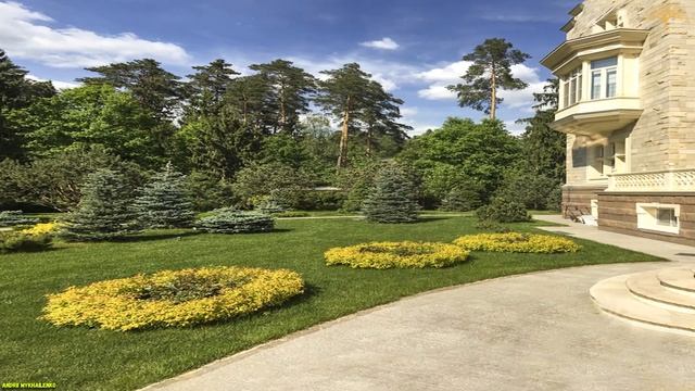 Ландшафт под ключ.Turnkey landscape.