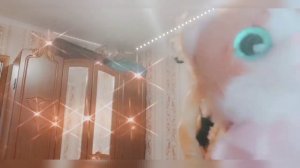 Лилия подстриглась налысо во сне