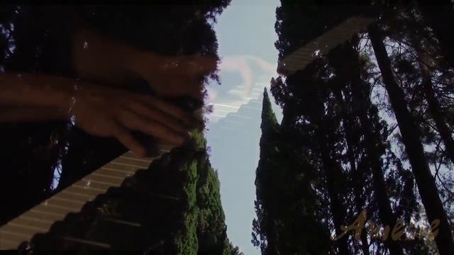 10_09_2017_ДЕНДРАРИЙ_СОЧИ.mp4 смотреть онлайн