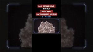 Объяснение зарождения жизни из корана.
