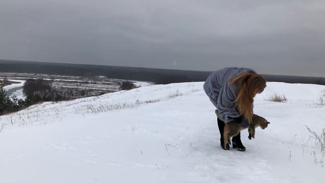 Охота на вертолёте на крупного зверя смотреть онлайн