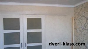 Двухстворчатая дверь купе - Рома-11