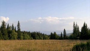 Хребет Сухие горы. Гора Каменный Форфос..Весь Южный Урал_56