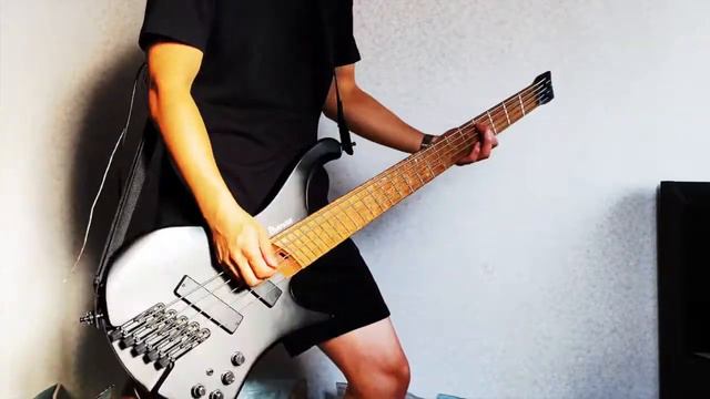 Blink-182 - Los Angeles || Bass Cover смотреть онлайн