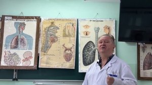 Видеолекция "Общая характеристика дыхательной системы"