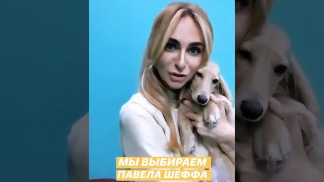 Екатерина Варнава и Биркин выбирают Павла Шефф )