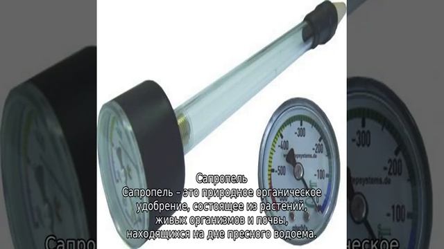 Какую почву любит малина