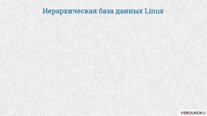 Видеоурок по информатике «Иерархические БД»