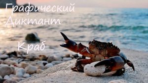 Графический Диктант Краб