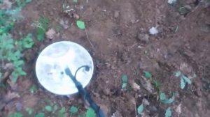 Тест Minelab GPX 5000 . Бронзова чиния на около 80 сантиметра в средно минерализирана почва .