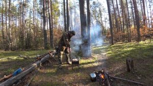 ПВД, ПРОГУЛКА ПО ЛЕСУ