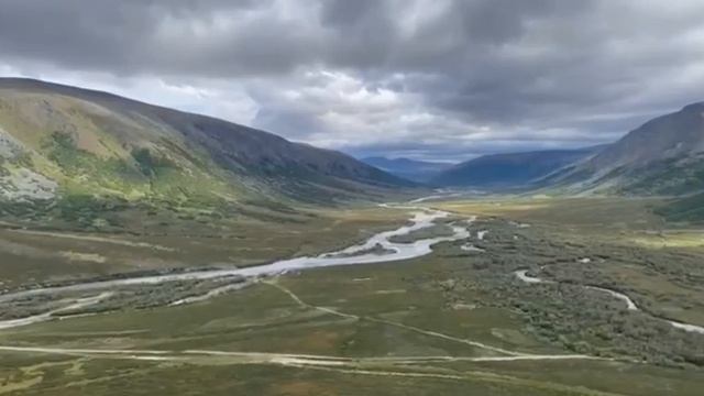 Самое лучшее украшение пейзажа - крупное копытное, особенно овцебык. смотреть онлайн