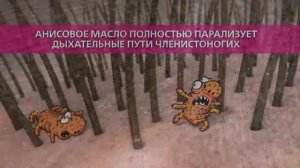 Педикулен Ультра - лучшее средство от педикулеза