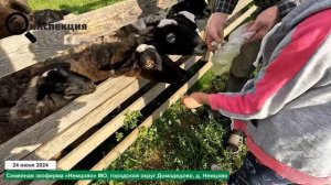 Независимый обзор Семейная экоферма "Немцово"