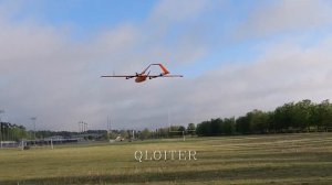 TItan Dynamics - 3D Printed Cobra VTOL Maiden Flight