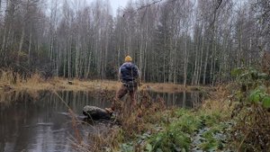 Спиннинг осенью. В поисках щуки. Ленинградская область. река Вьюн.
