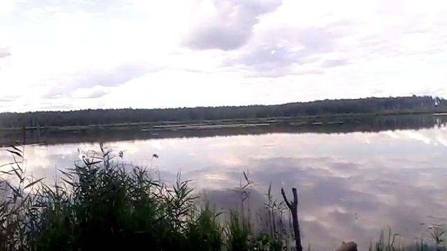 Лесное озеро Головковское смотреть онлайн