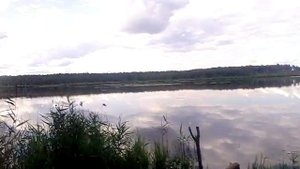 Лесное озеро Головковское