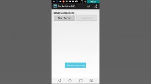 Pocket Server Minecraft PE
