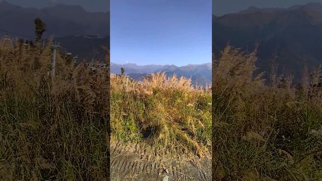 Нет ничего важнее чистой и свежей воды в горах смотреть онлайн