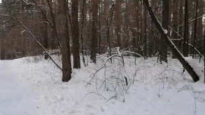 Виртуальная прогулка