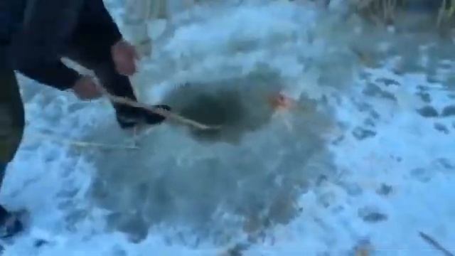 Простой способ поймать рыбу смотреть онлайн