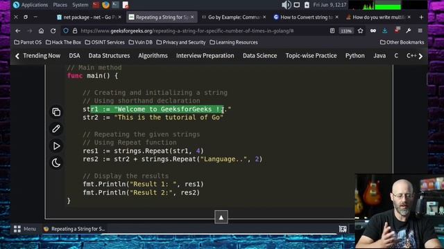 Build A Buffer Overflow Exploit To Learn Golang - Project-Based Learning