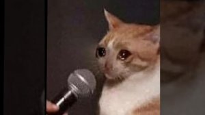 pisse - fahrradsattel (slowed n reverb)