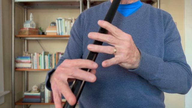 Learning St Patrick An Dro on Low D Whistle смотреть онлайн