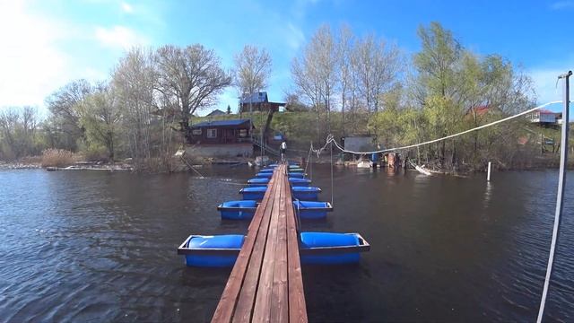 Икра в рыбе. Есть или нет, как определить? смотреть онлайн