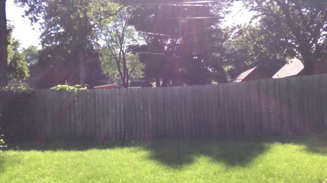 МОЁ УТРО - пью кофе, планирую, соседская живность смотреть онлайн