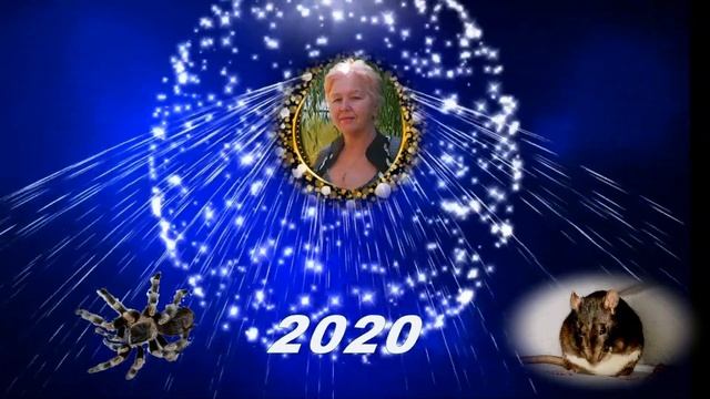 С новым 2020 годом! смотреть онлайн