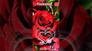 #Хэерле булсын язнын  ин матур кичлэре🌷Лэйлэ Галиева"Рэнжетмэгез хатын-кызны"Бэйрэм белэн дусларым🥰