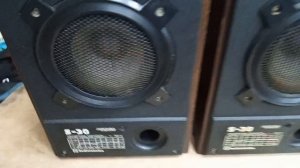 колонки Радиотехника  S30 (3) проверка