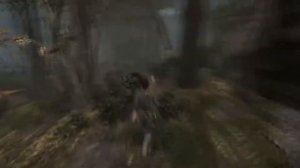 Tomb Raider. Испытание Горного леса. Тихая охота