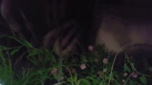 Паджеро 4 " чистим слив конденсата в климате"