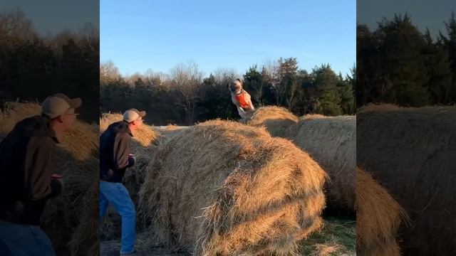 Nick on the round bales смотреть онлайн